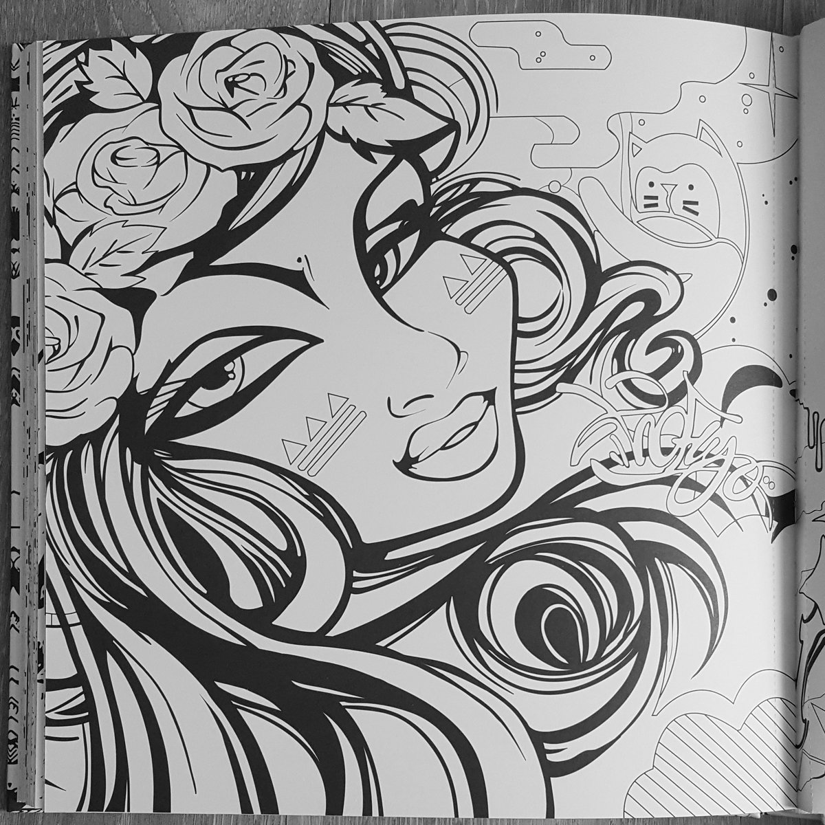 The Ultimate Street Art Coloring Book | No Love City®
