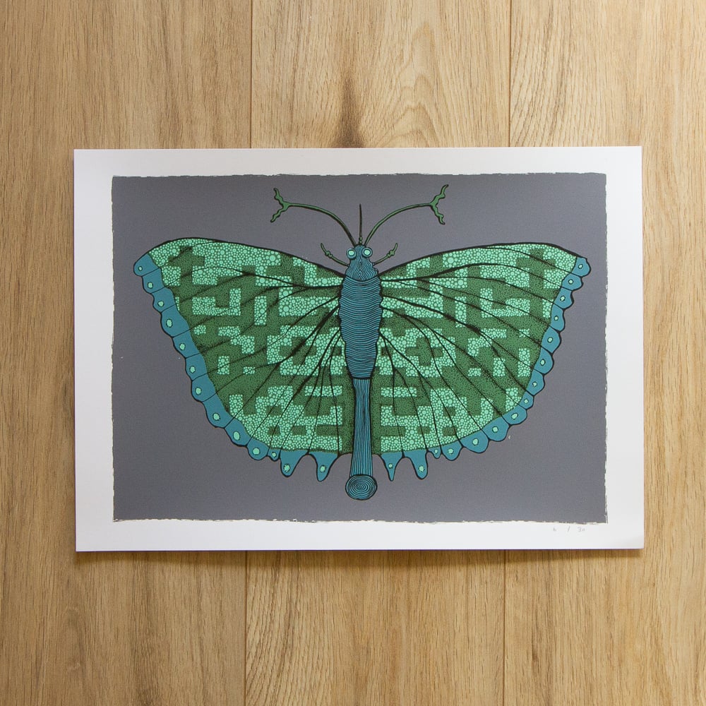 Image of 'Patterned Butterfly' Screen Print
