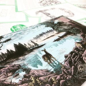 Image of Issue 15 | The Lake