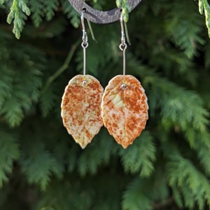 Image of Autumn Leaves Earrings