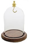 Dueber Pocket Watch Glass Display Dome with Gold Knob & Hook, Real Walnut Base 3″x4″ DBR31WDH