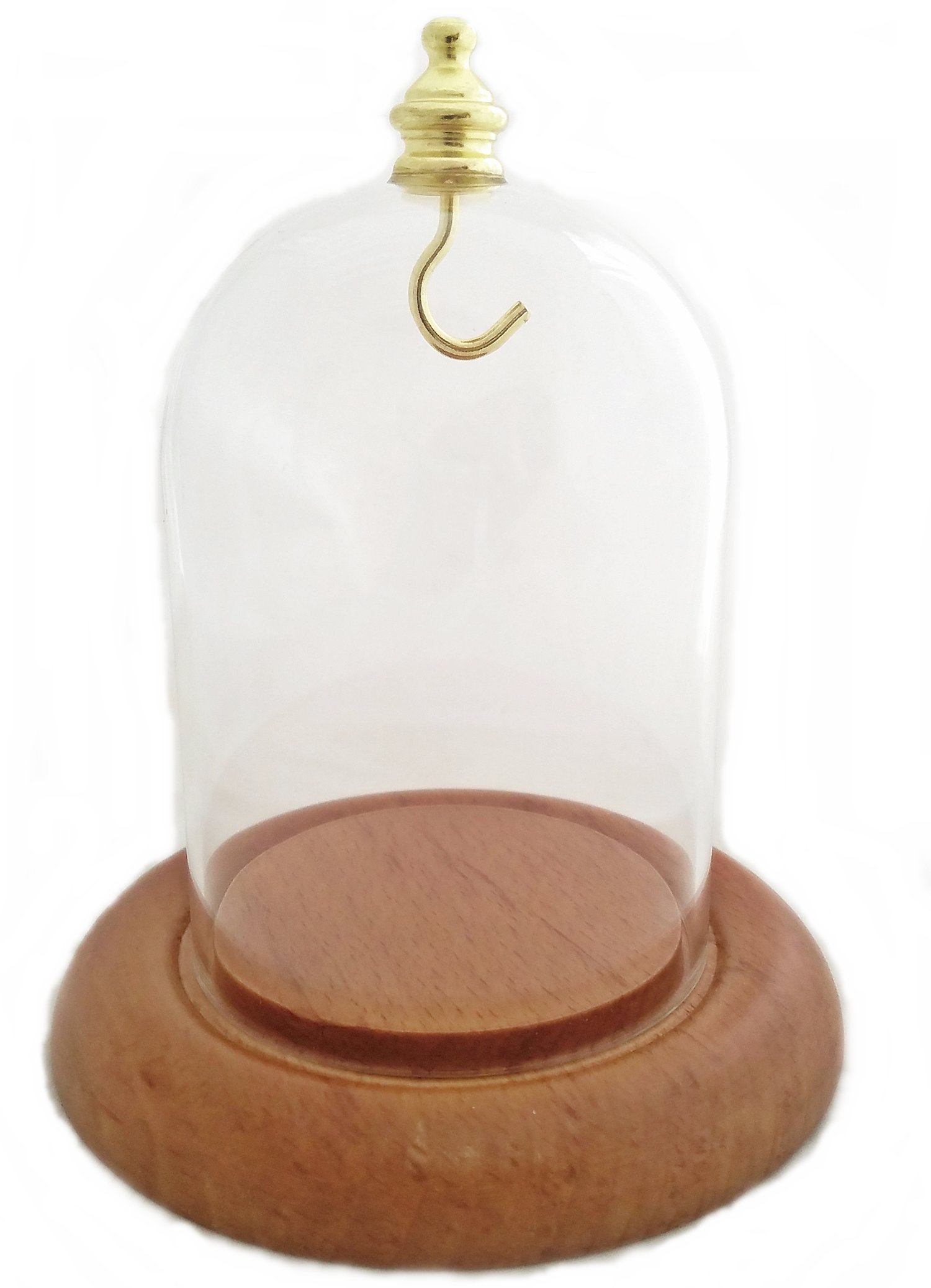 Dueber Pocket Watch Glass Display Dome with Gold Knob & Hook, Oak Base