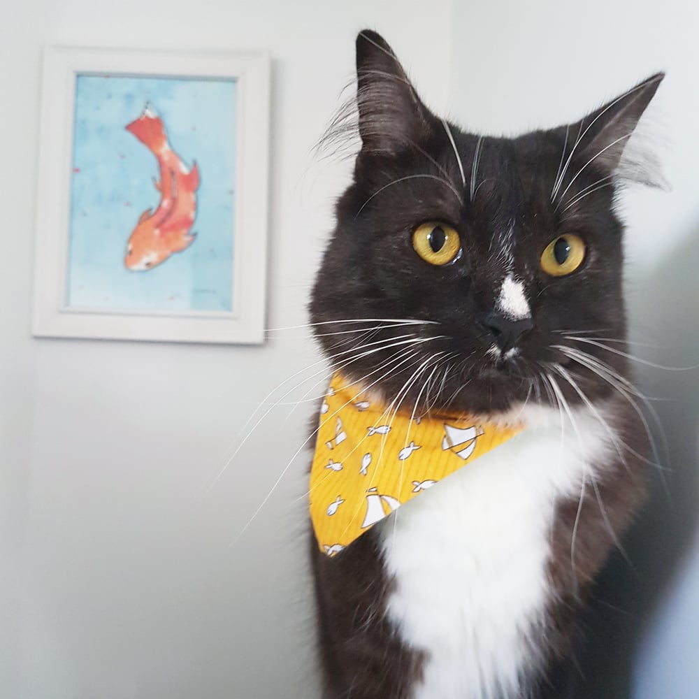 Image of Nautical Fish