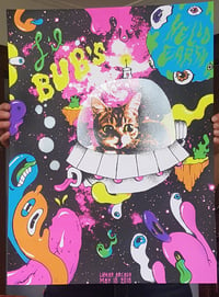 Lil Bub's Hello Earth