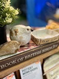 Image 9 of GROUP CLASS / MAY (10th / 11th) : Hand built Birds, 2hrs