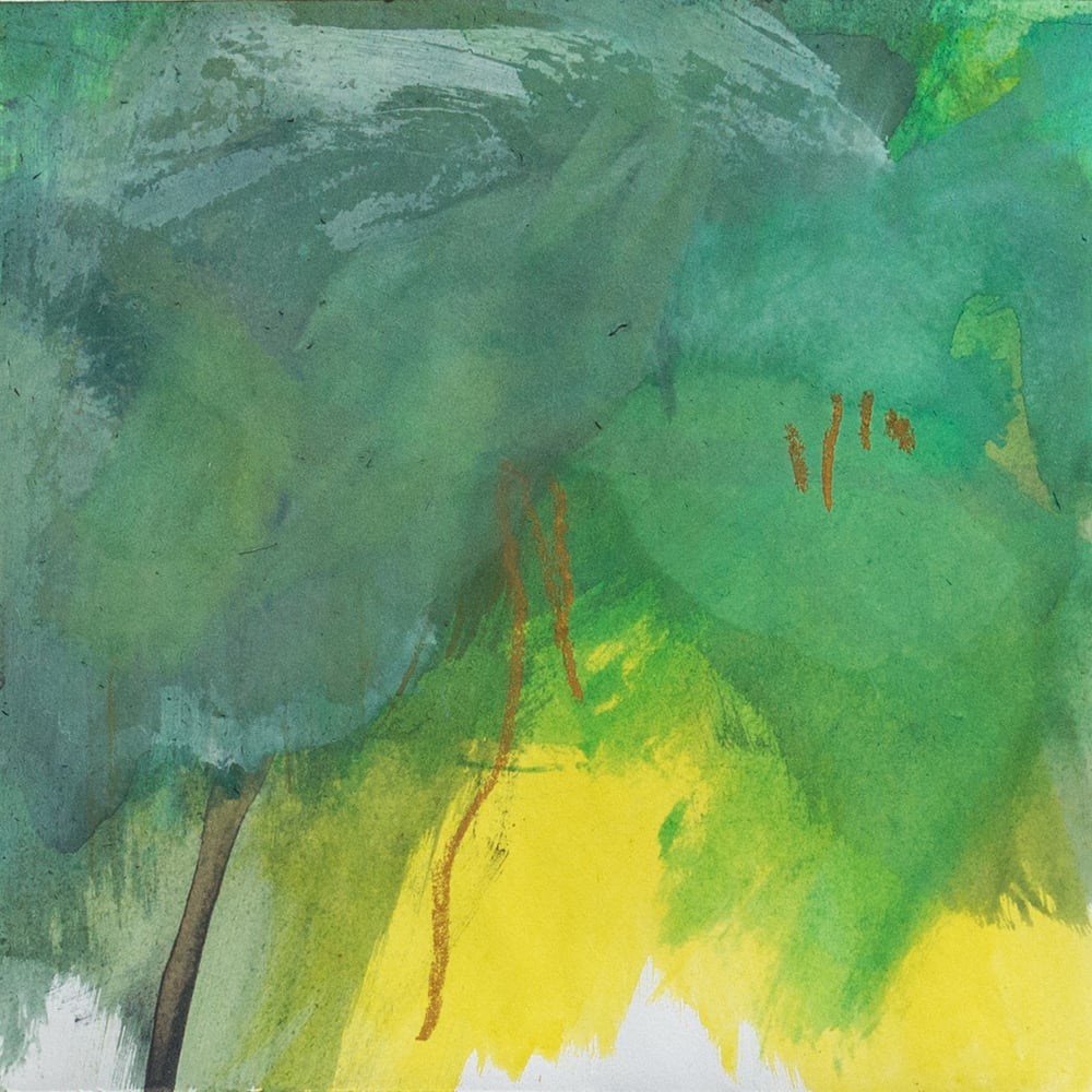 Image of clairière_- clearing_