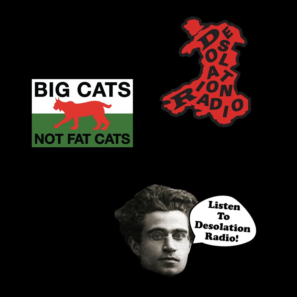 Image of THE OFFICIAL DESOLATION RADIO STICKER PACK®
