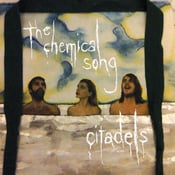 Image of The Chemical Song (extremely limited SIGNED 7" Vinyl) 