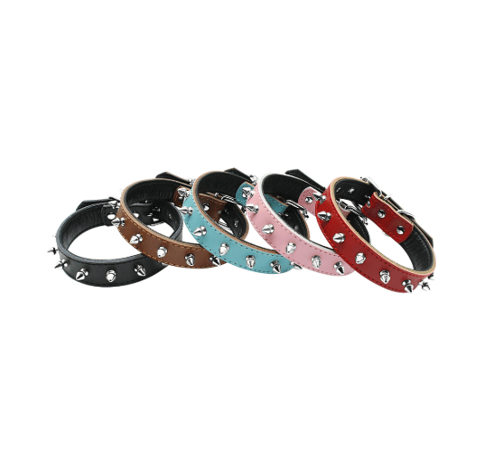 Image of COLLAR AMSTAFF