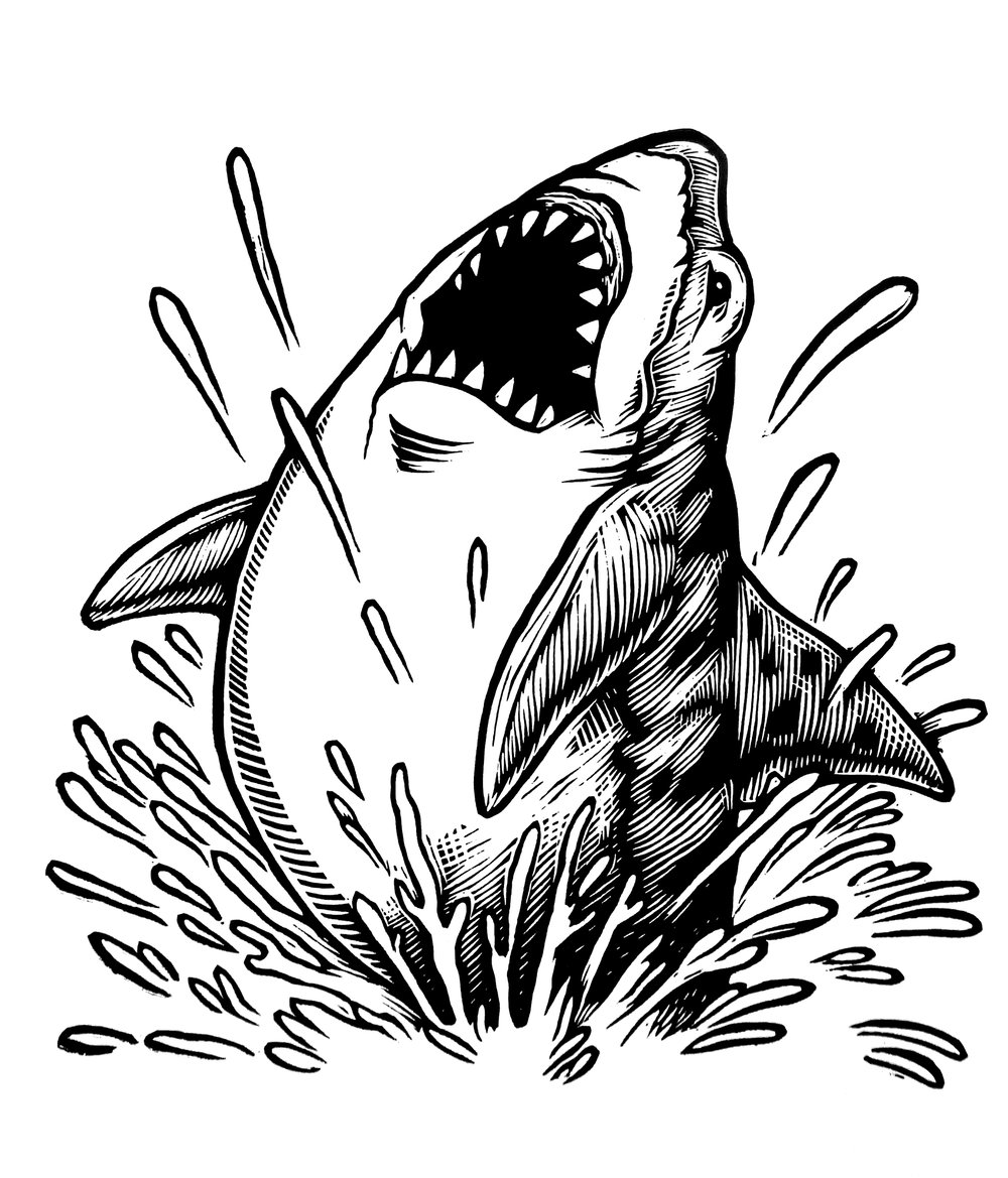 Jumping Shark T-shirt (B1) **FREE SHIPPING**