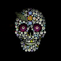 Image 1 of Under The Sage's Gaze - Flower Skull