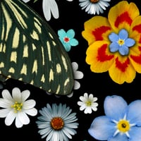 Image 2 of Under The Sage's Gaze - Flower Skull