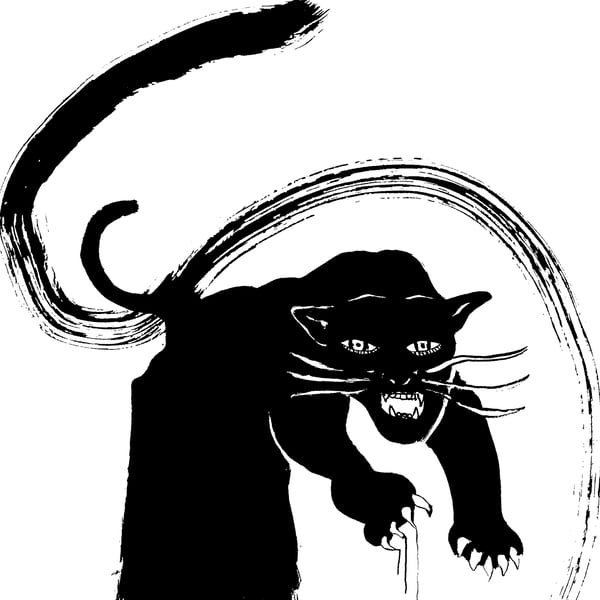 Image of Black Panther Animal Spirit