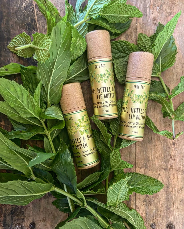 Image of Hemp, Nettle & Peppermint Lip Balm 