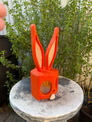 Image 5 of Orange Bunny