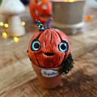 Image 1 of Mme Pumpkin Huguette