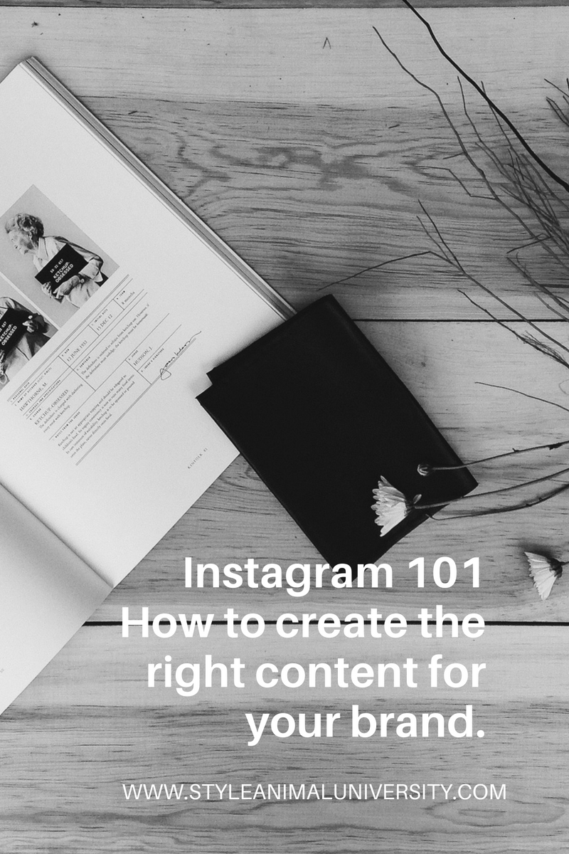 Image of Instagram 101