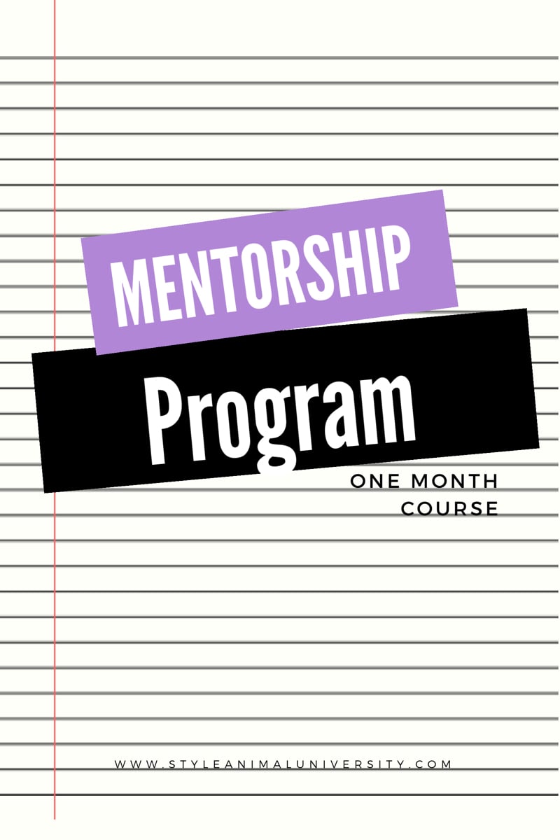 Image of Mentorship Program