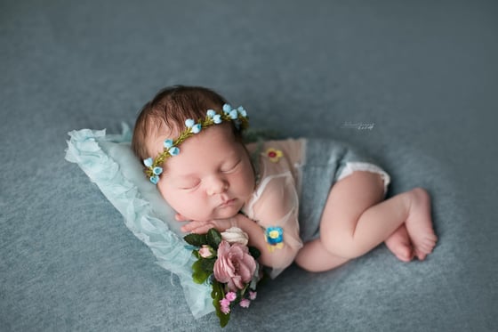 Image of Eleanor halo