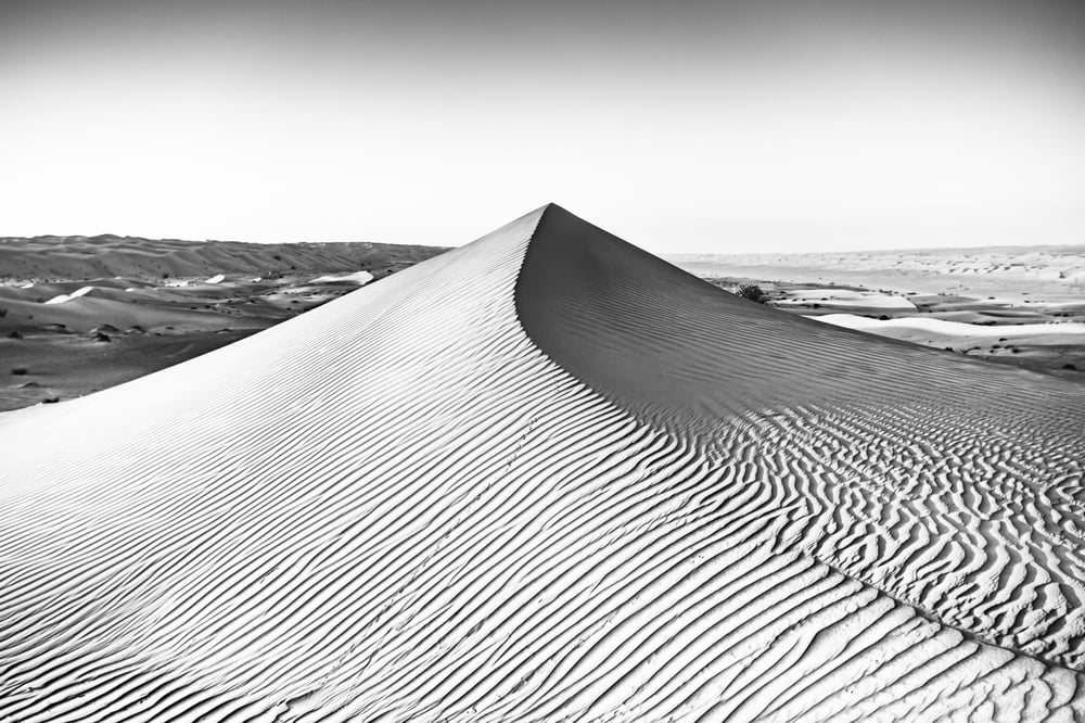 Image of Dune