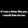 Hater like you