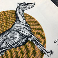 Image 3 of Sighthound shopper in yellow