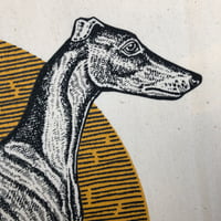 Image 4 of Sighthound shopper in yellow