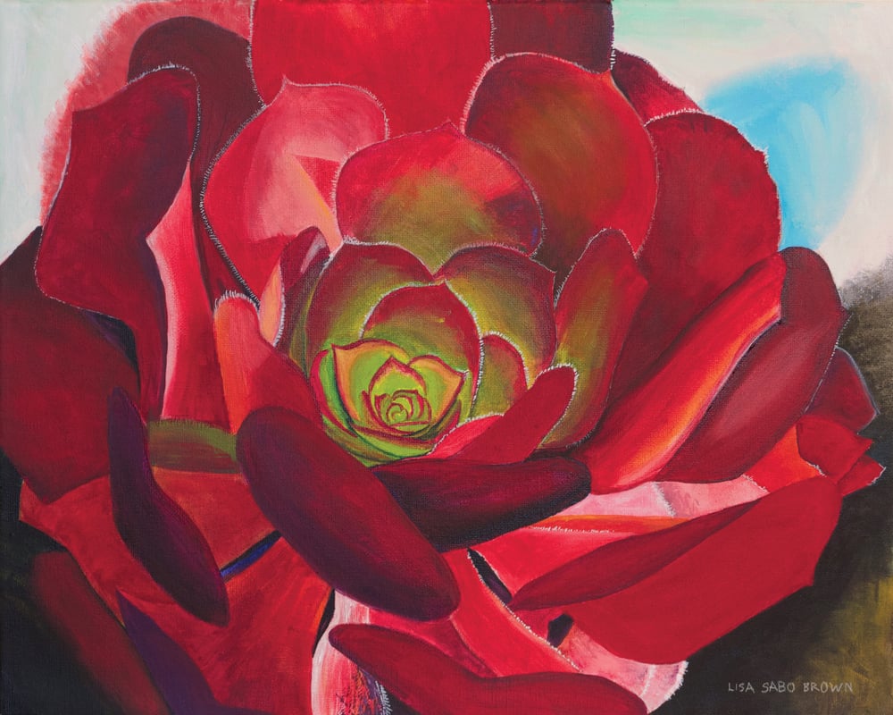 Image of Red Succulent