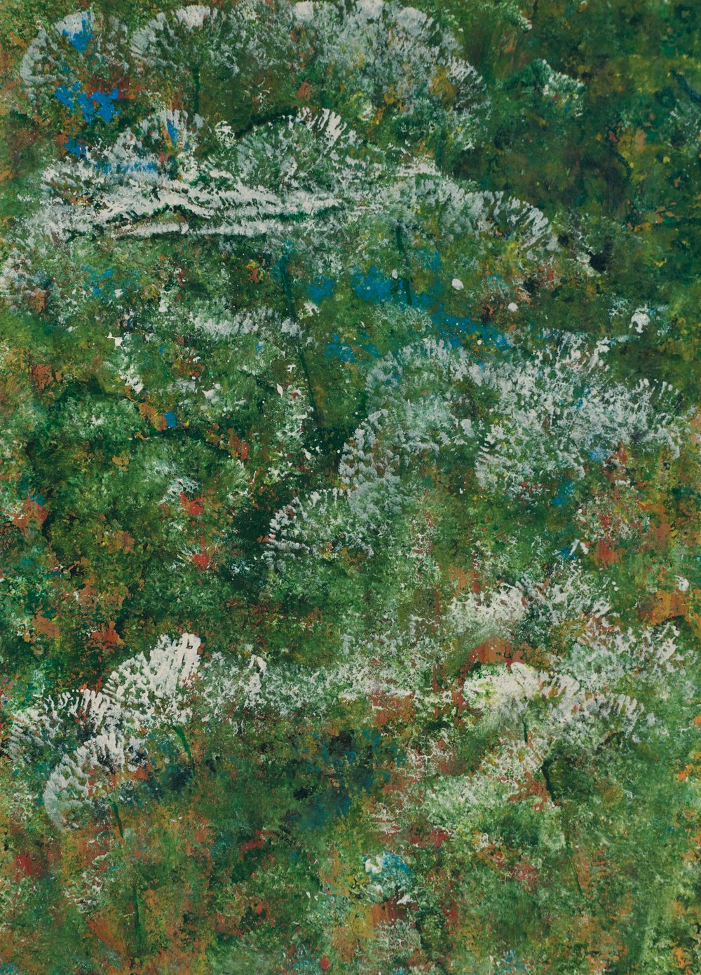 Image of White Wildflowers