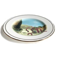 Image 2 of Kraken Attack - Vintage English Porcelain Plate #0600