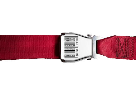 Image of PlainWhere Seat Belt Sticker