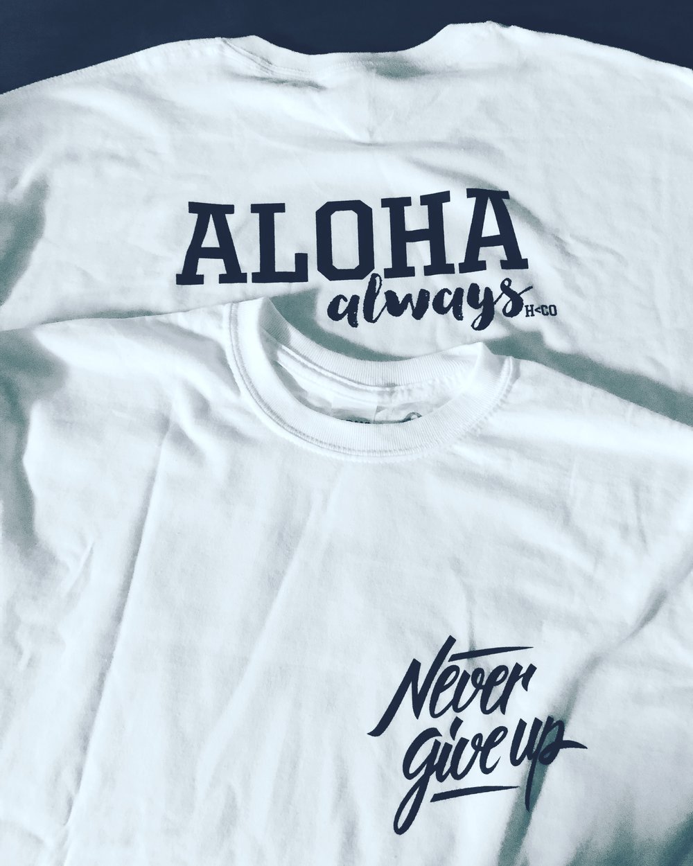 Never Give Up/Aloha Always