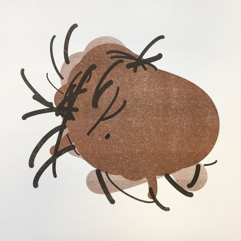 Image of Tick