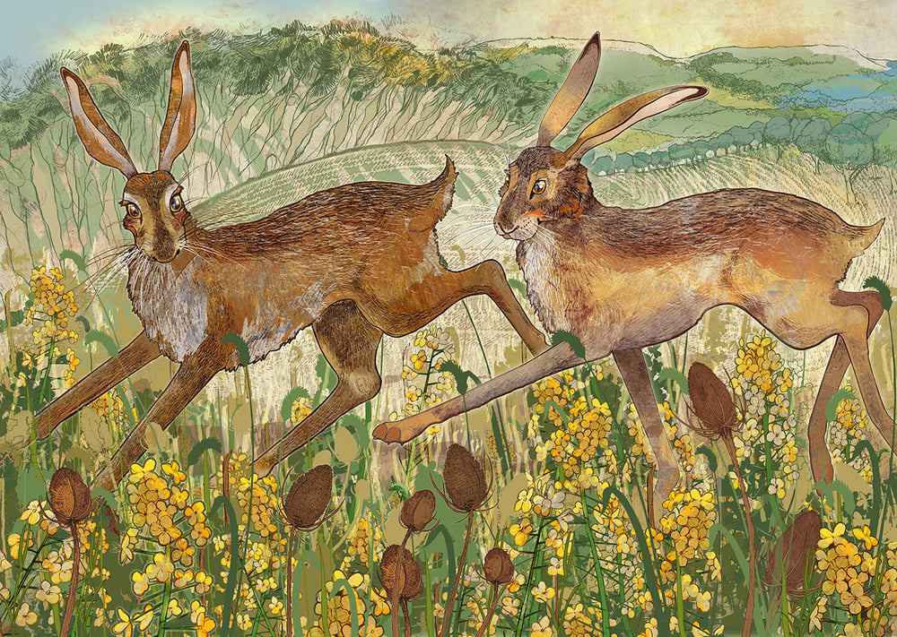 Image of Clent Hares