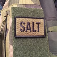 Image 3 of SALT