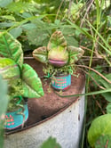 Random Audrey2