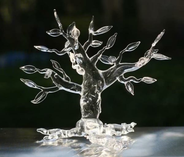 Image of Intro-CLASS—-Bonsai Trees/Vegitation  (Tuesday’s)