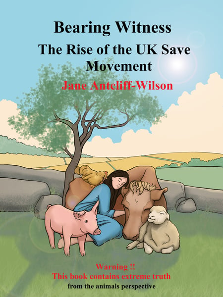 Image of Bearing Witness - The Rise of the UK Save Movement -  paperback by Jane Antcliff-Wilson