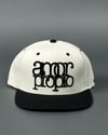 AP Snapback