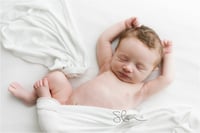 Image 4 of Collection Two - Exclusive 