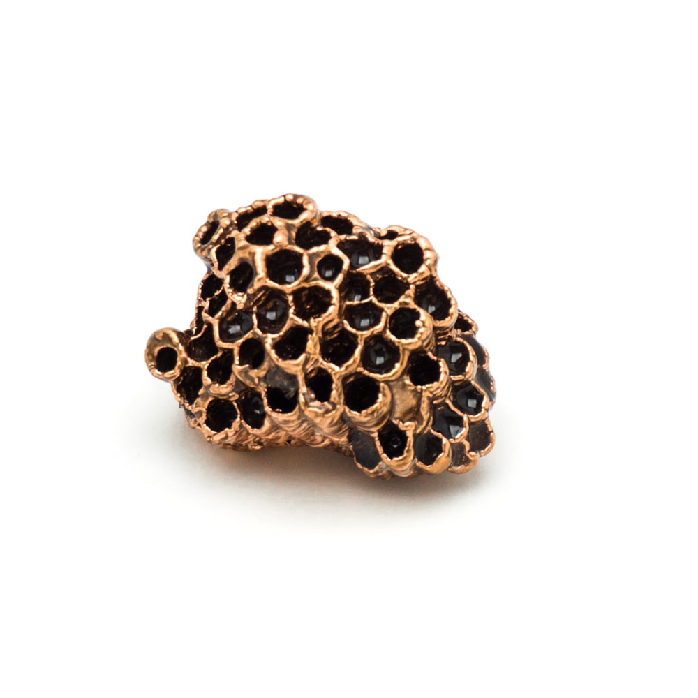 Image of Small Wasp Nest Display