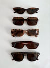 Tortoise Shell Sunnies