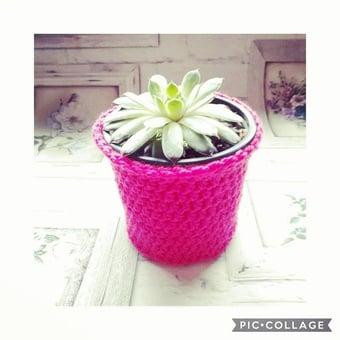 Image of Crochet House Plant Cosey, Plant Container, House Plants, Home Decor