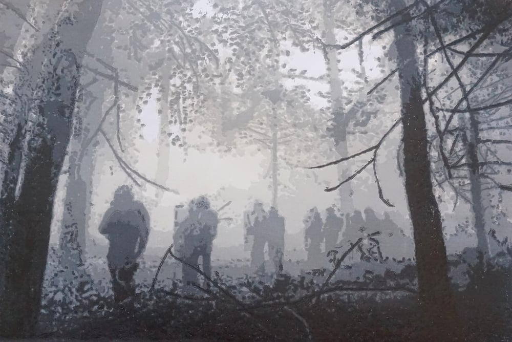 Image of 49.3 en forêt profonde