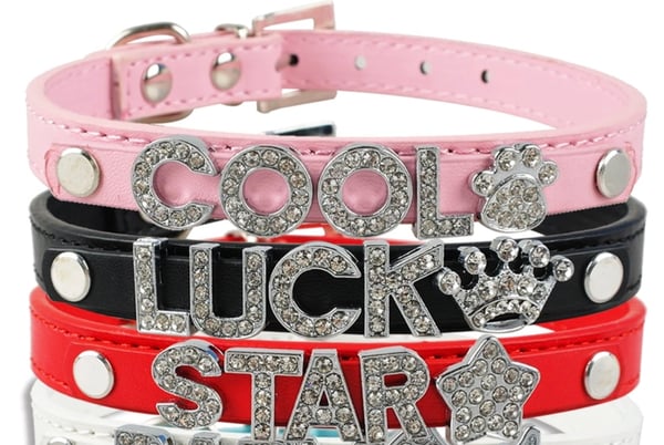 Image of Custom Bling Collar 2 for $45