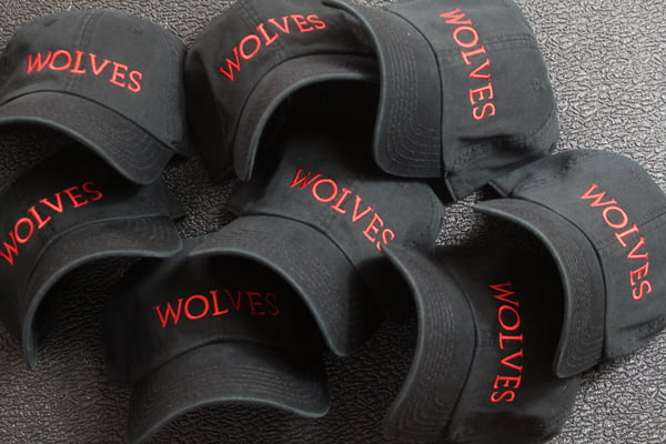 Image of WOLVES Dad Hat