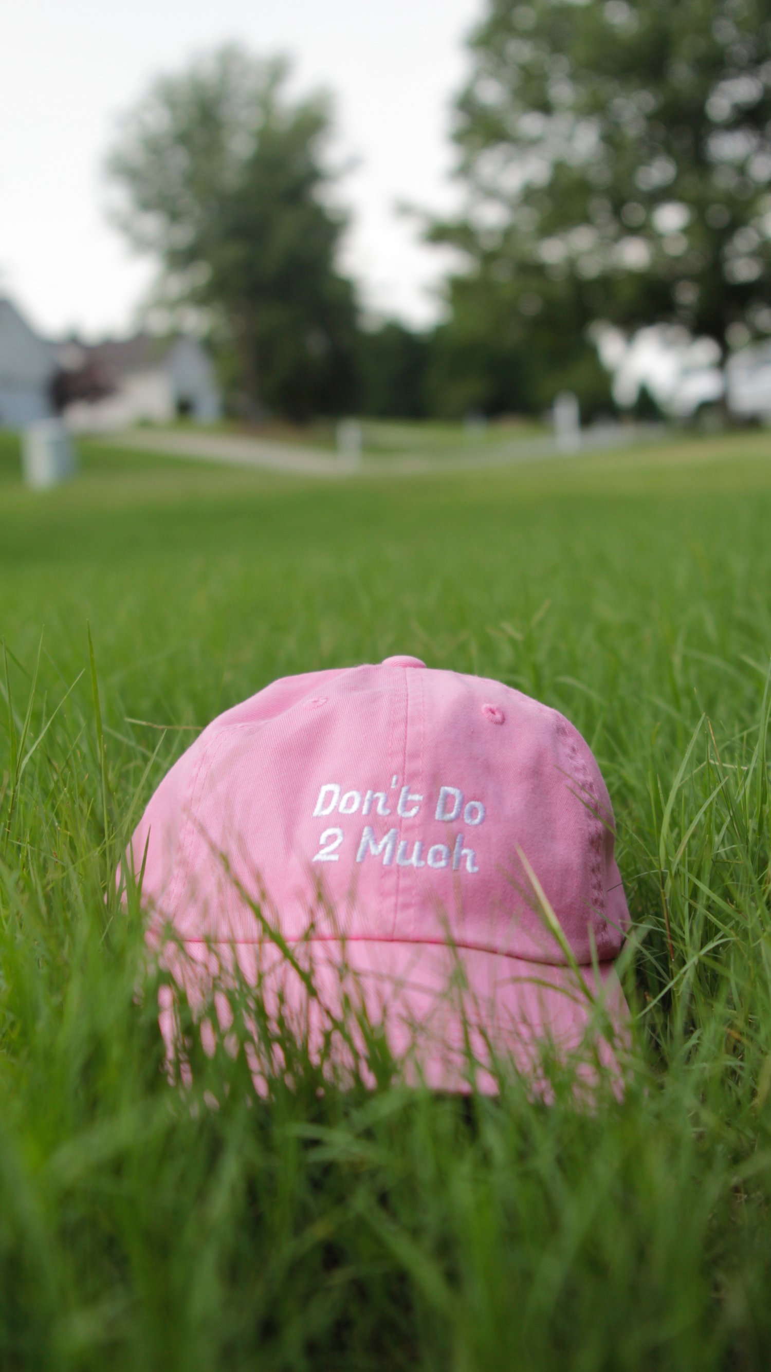 Image of DD2M Dad Hat Pre-Order!
