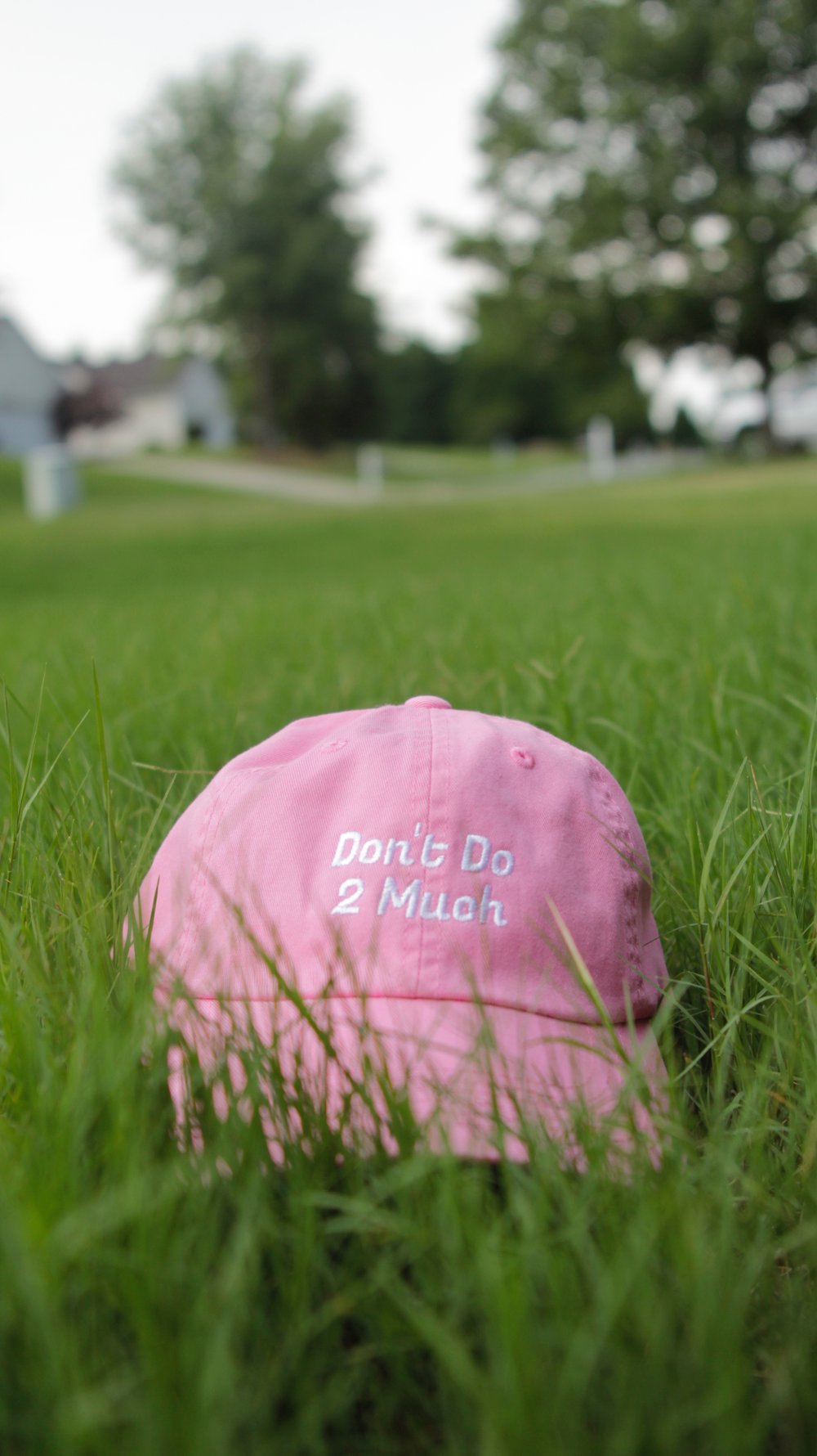 Image of DD2M Dad Hat Pre-Order!