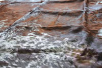 Image 1 of Chocolate Nguni Cowhide Rug