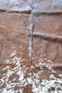 Image 3 of Chocolate Nguni Cowhide Rug